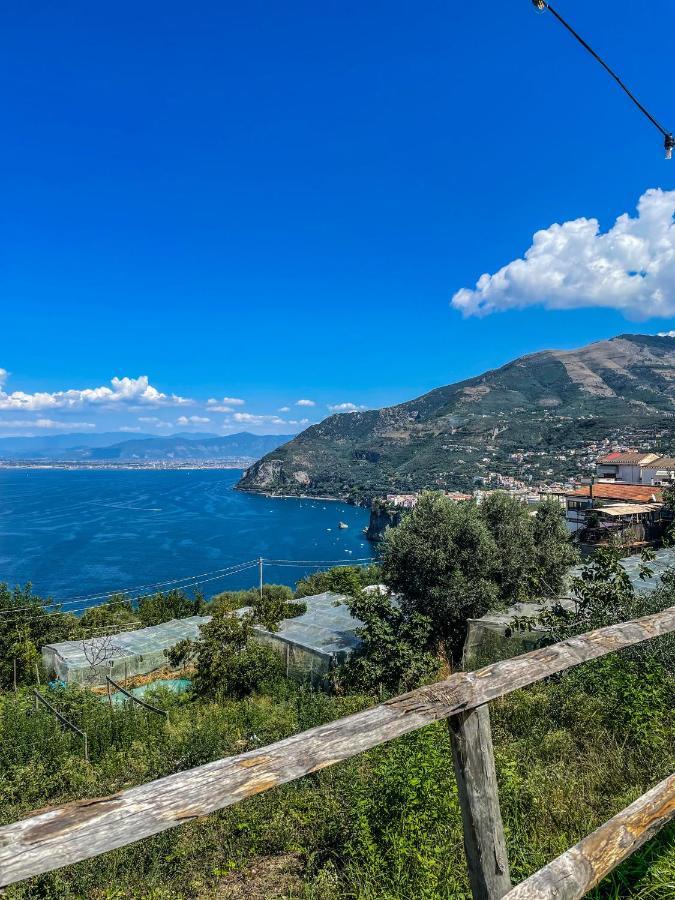 Antica Tenuta Celotto Vico Equense Εξωτερικό φωτογραφία