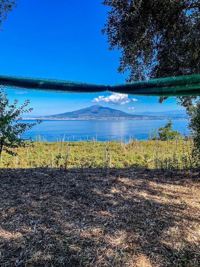Antica Tenuta Celotto Vico Equense Εξωτερικό φωτογραφία