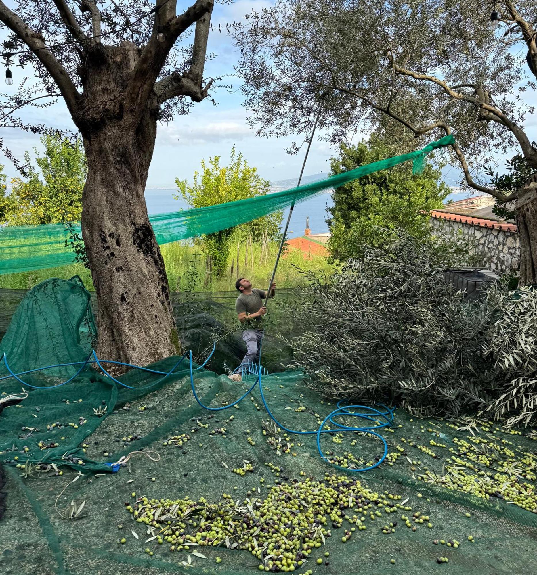 Antica Tenuta Celotto Vico Equense Εξωτερικό φωτογραφία